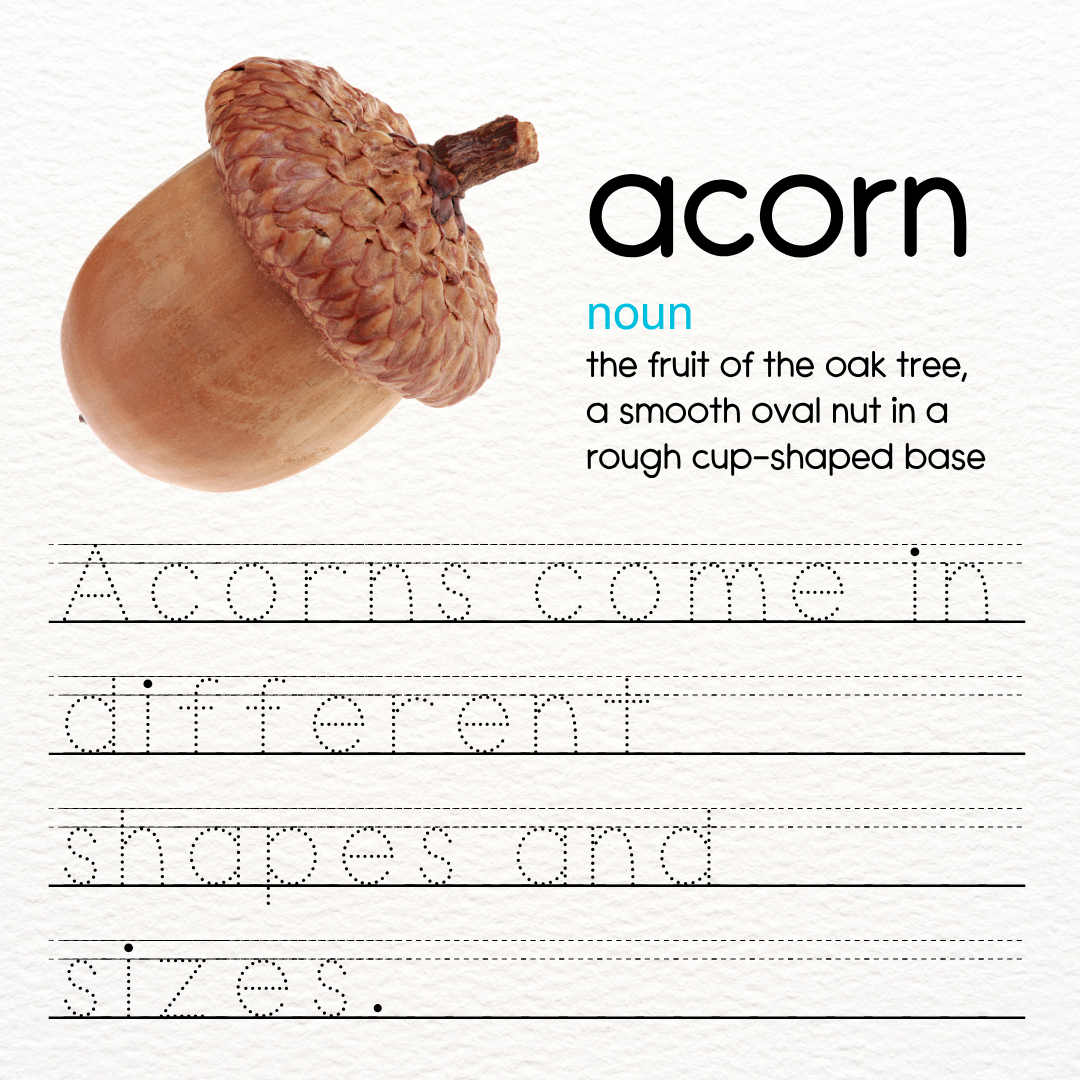 dotted tracing lined font for handwriting practice
